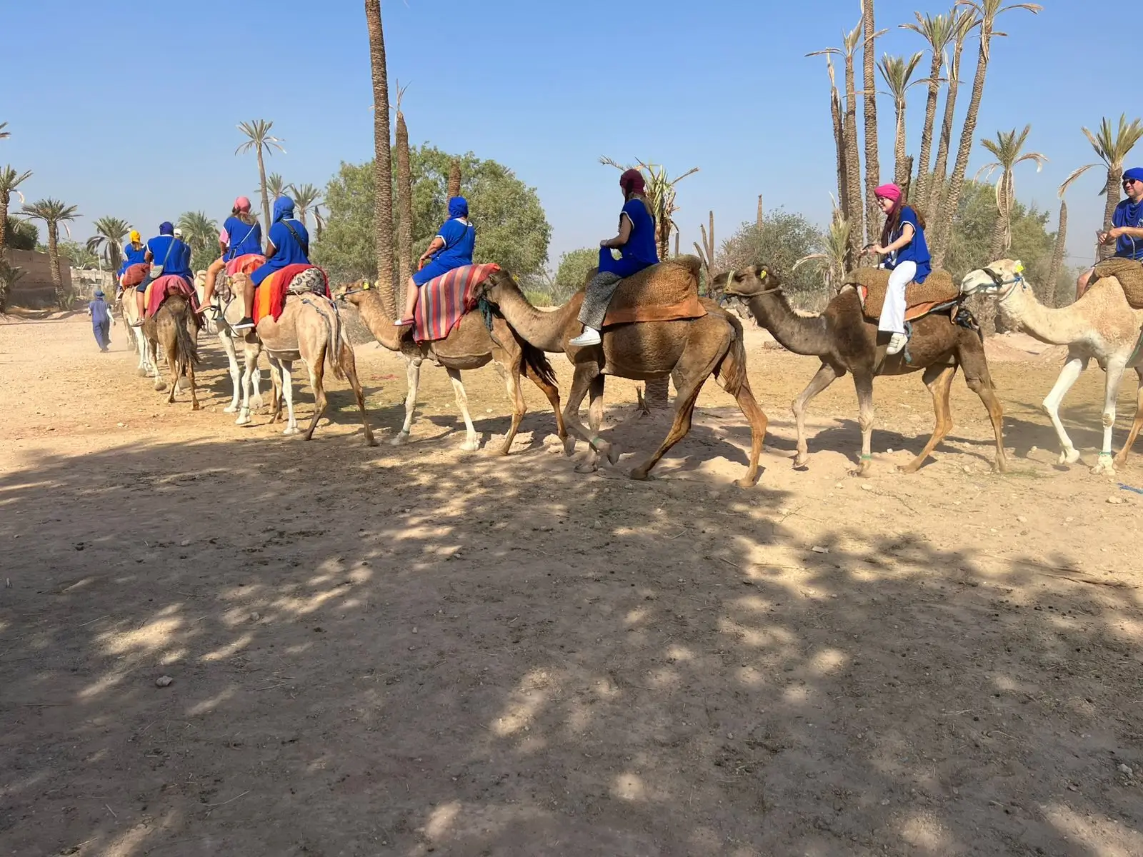 Camel Ride Tour in Marrakech